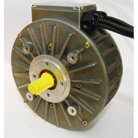 Synchronous motor Heinzmann PMS 120 L 80 VDC