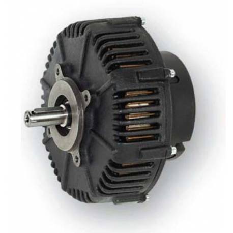 Heinzmann DC motor PMG 132