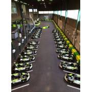 24 Karts électriques d'occasion