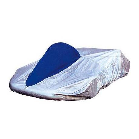 Kart électrique de location spéciale Glace