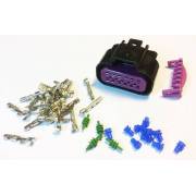 Kit prise DELPHI 10 broches femelle