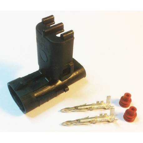 Kit prise DELPHI 2 broches mâle