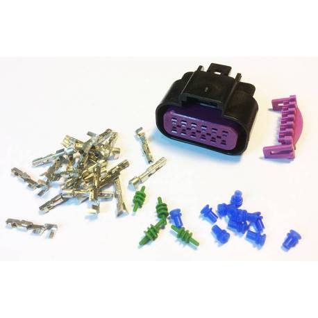 Kit prise DELPHI 12 broches femelle