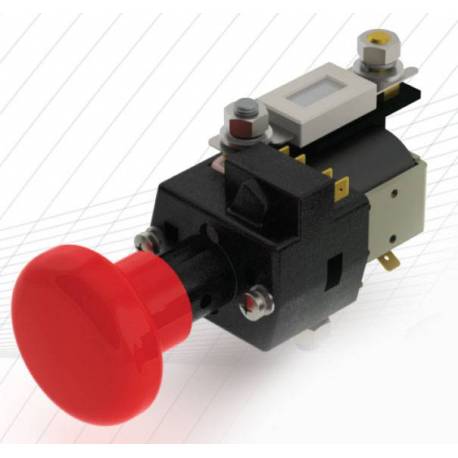 RELAIS AU 24V AVEC PORTE FUSIBLE SD200 24V