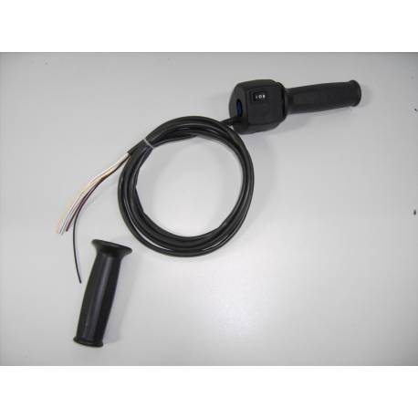IEectric throttle grip