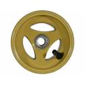 Magnesium front wheel with valve