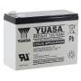 Battery YUASA REC10-12, Traction