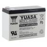 Batterie YUASA REC10-12, Semi-traction