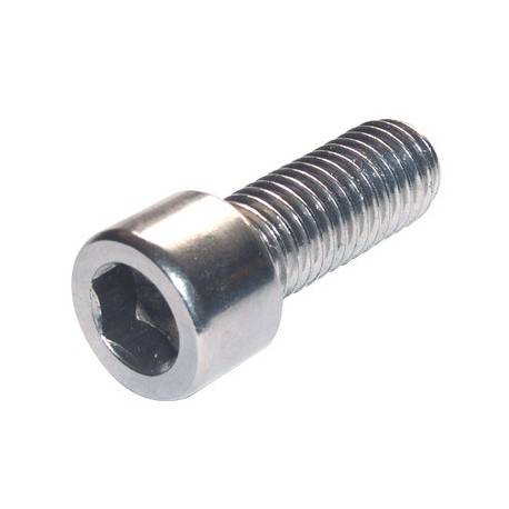 M06 x 20 CHC zinc screw